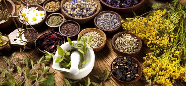 Plants and herbs in alternative medicine that improve the condition of patients with prostate