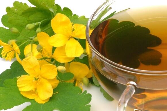 infusion of celandine for the treatment of prostatitis